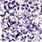 49 & Market Color Swatch Lavender - Acetate Leaves