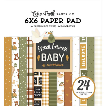 Echo Park Special Delivery Baby - 6x6 Pad