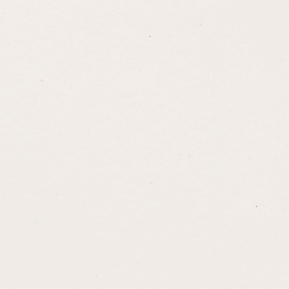 Bazzill Speckle 12x12 Cardstock - White Sands