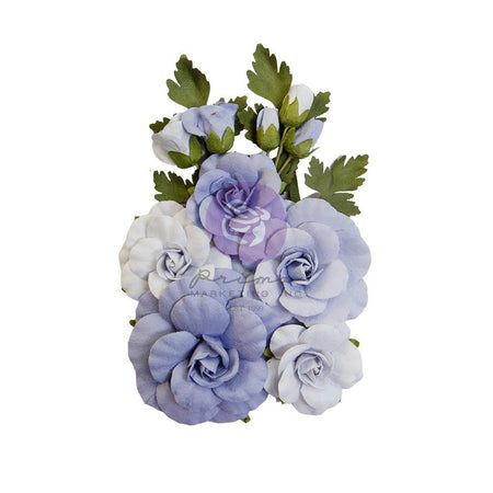 Prima The Plant Department - Sweet Blue Flowers