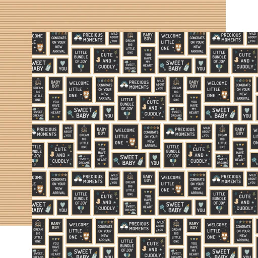 Echo Park Special Delivery Baby Boy - Baby Boy Signs