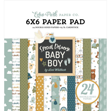 Echo Park Special Delivery Baby Boy - 6x6 Pad