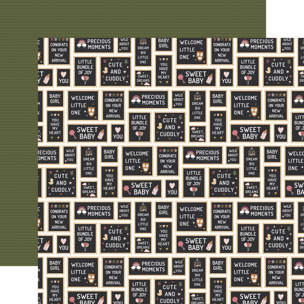 Echo Park Special Delivery Baby Girl - Baby Girl Signs