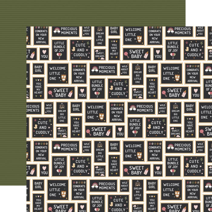 Echo Park Special Delivery Baby Girl - Baby Girl Signs