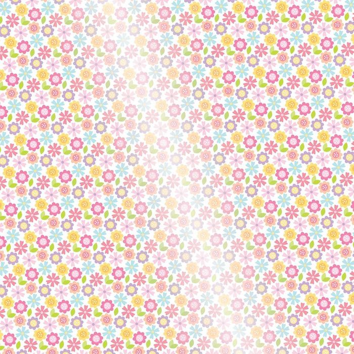 Bella Blvd Just Because - To You From Me Clear Acetate