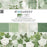 49 & Market Color Swatch Willow - 12x12 Collection Pack