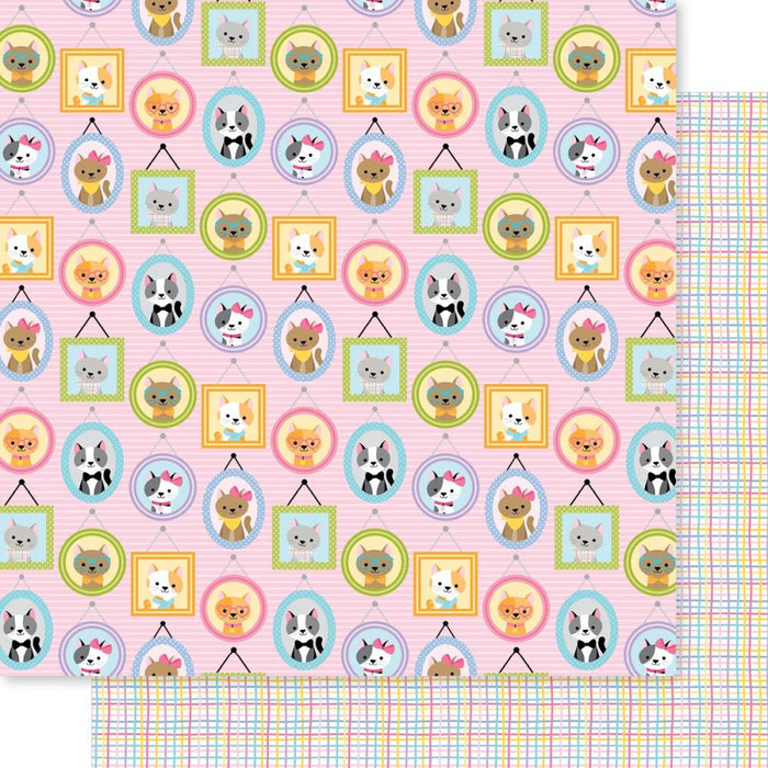 Bella Blvd Meow - Picture Purrrfect