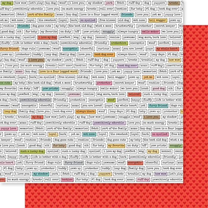 Bella Blvd Bow Wow - Top Dog