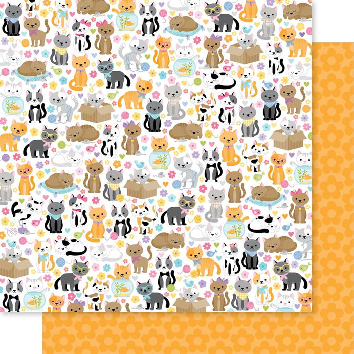 Bella Blvd Meow - Cats Live Here