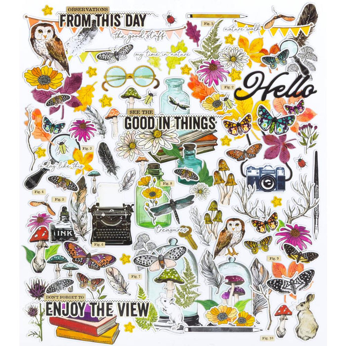 49 & Market Vicki Boutin Curiosities In Willow Grove - Icon & Titles Ephemera Set