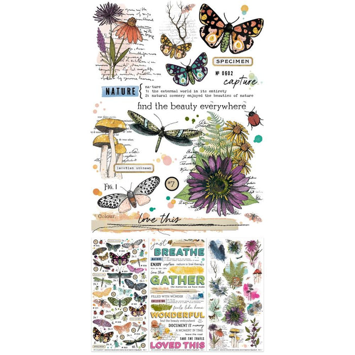 49 & Market Vicki Boutin Curiosities In Willow Grove - Essential Rub-On Transfers