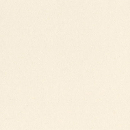 Bazzill 12x12 Card Shoppe Heavyweight Bazzill - Butter Mints