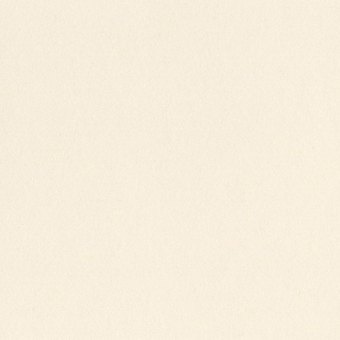 Bazzill 12x12 Card Shoppe Heavyweight Bazzill - Butter Mints