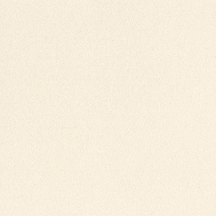 Bazzill 12x12 Card Shoppe Heavyweight Bazzill - Butter Mints