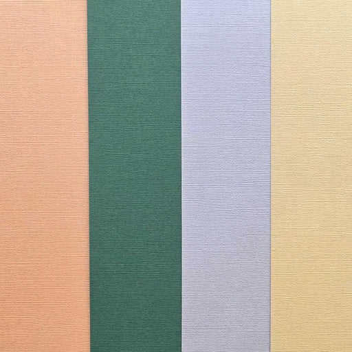 Papermaze February Kit Cardstock