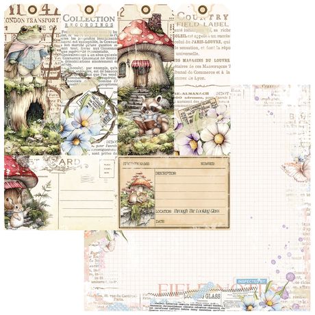 49 & Market The Looking Glass - Collector of Echoes