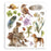 Stamperia All Around - Rub-Ons Selection 8x9