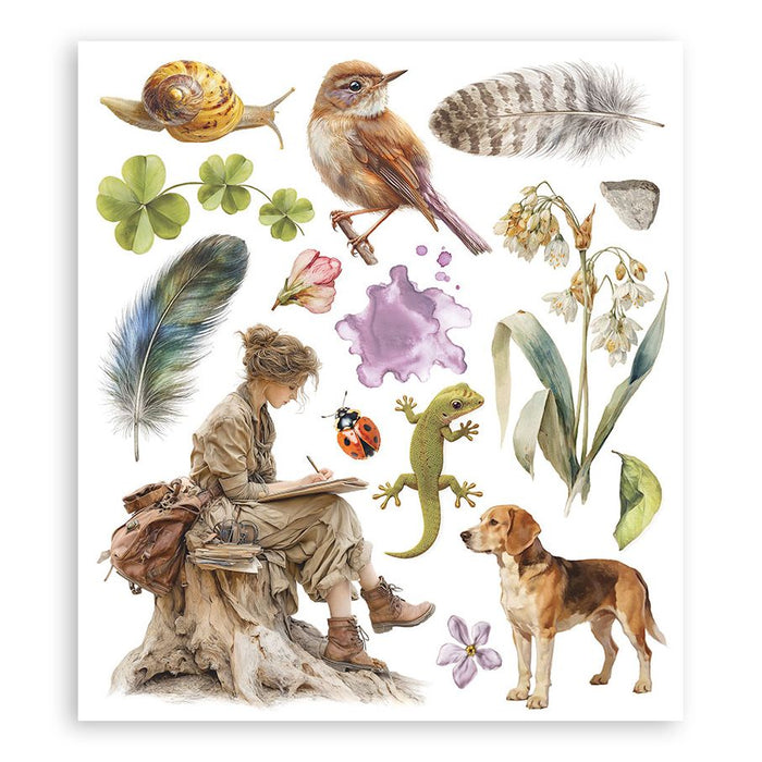 Stamperia All Around - Rub-Ons Selection 8x9