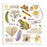 Stamperia All Around - Rub-Ons Assortment Kit