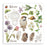 Stamperia All Around - Rub-Ons Assortment Kit