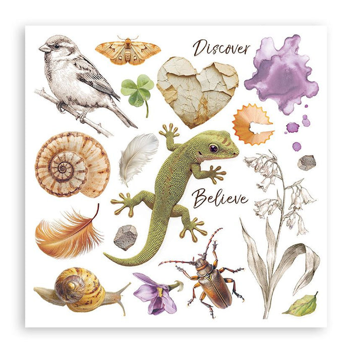 Stamperia All Around - Rub-Ons Assortment Kit