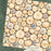 Graphic 45 Adventure Awaits - Tree Rings