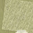 Graphic 45 Adventure Awaits - Fern Green Pattern & Solid