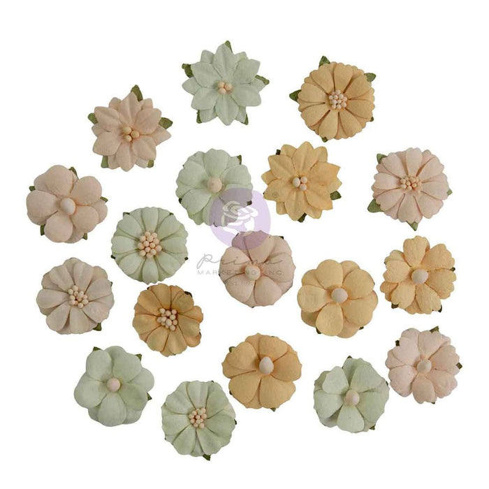 Prima Homegrown - Meadow Petals Flowers