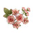 Prima Homegrown - Garden Rose Blush Flowers