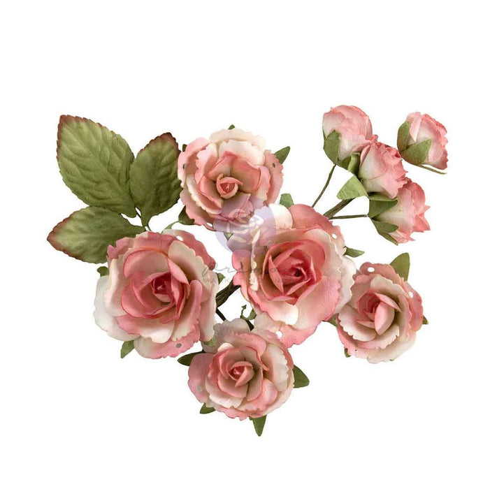 Prima Homegrown - Garden Rose Blush Flowers