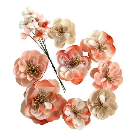 Prima Homegrown - Apple Blossom Garden Flowers