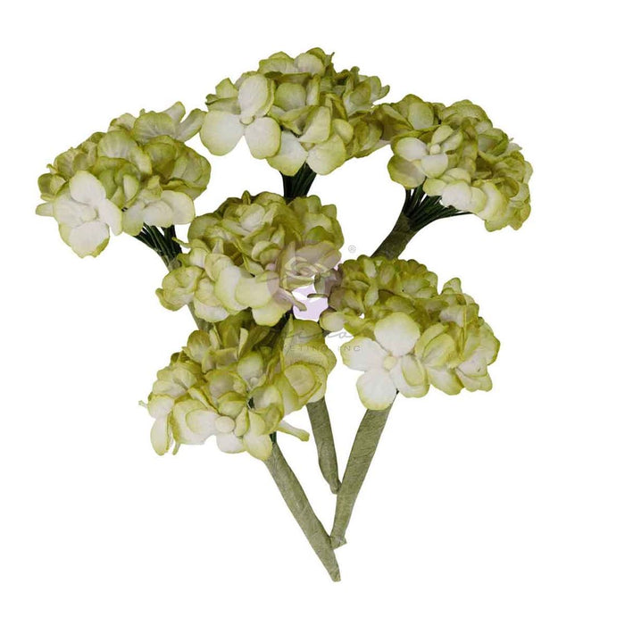 Prima Homegrown - Garden Hydrangea Mist Flowers