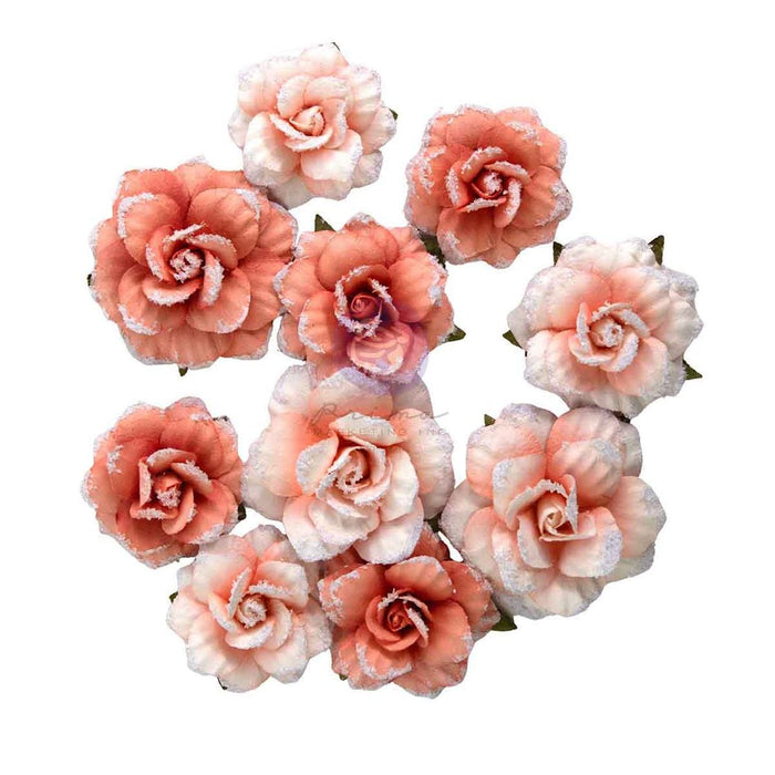 Prima Homegrown - Blush Harvest Flowers