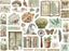 Stamperia Herbarium Silvae - Die Cuts