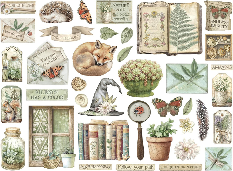 Stamperia Herbarium Silvae - Die Cuts
