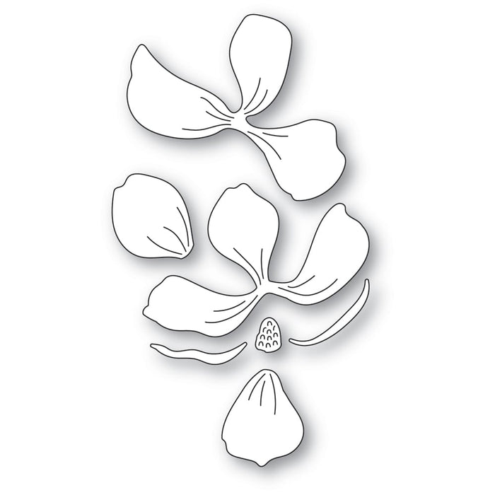 Memory Box Die - Magnolia Blossom