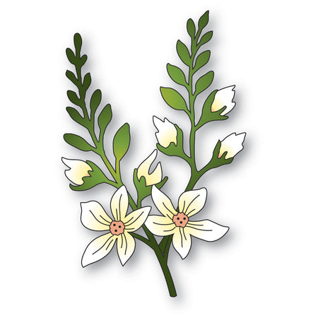 Memory Box Die - Crocosmia Stems