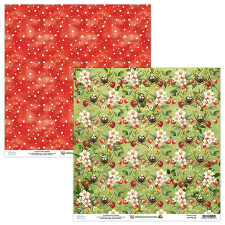 Mintay Papers Wildwood Secrets - 05