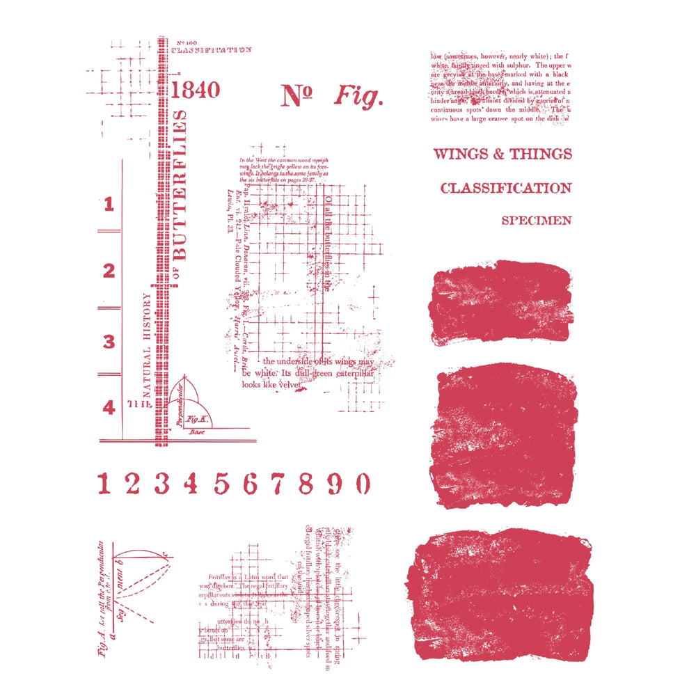 Sizzix Clear Stamps by 49 & Market - Wings & Things