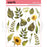 Uniquely Creative Sweet As Honey - Nature Rub Ons