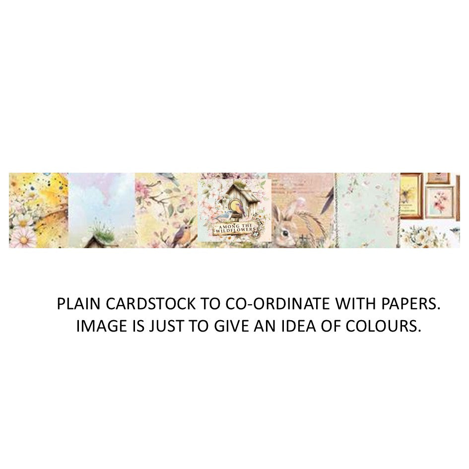 Prima Among The Wildflowers - Bazzill Plain Matchmaker Pack