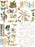 Arden Creative Studio Amber Ledgers - Rub-On Transfer Set