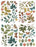 Arden Creative Studio Amber Ledgers - Foliage Laser Cuts