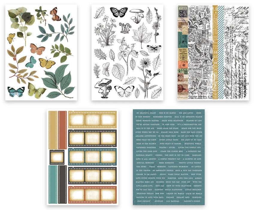 Arden Creative Studio Amber Ledgers - Sticker Book