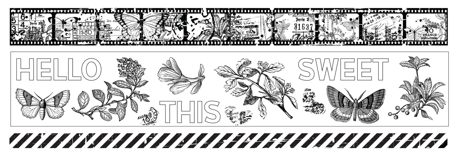 Arden Creative Studio Field Notes - PET Tape Set