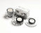 Arden Creative Studio Field Notes - PET Tape Set