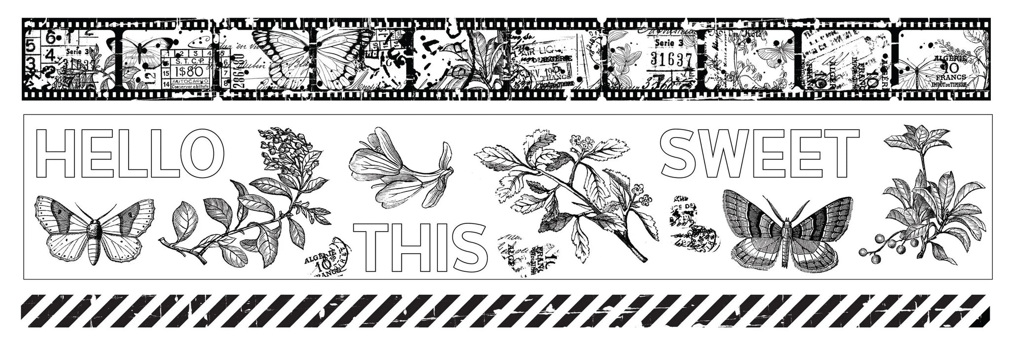 Arden Creative Studio Field Notes - PET Tape Set