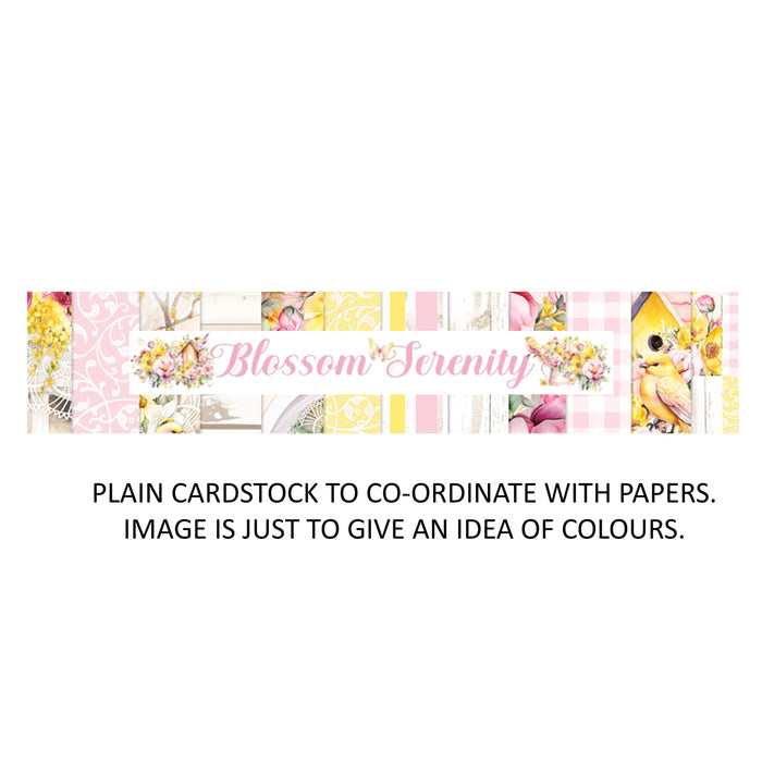 Mintay Papers Blossom Serenity - Bazzill Matchmaker Pack