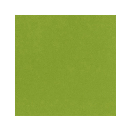 Bazzill 12x12 Card Shoppe Heavyweight Bazzill - Easter Grass