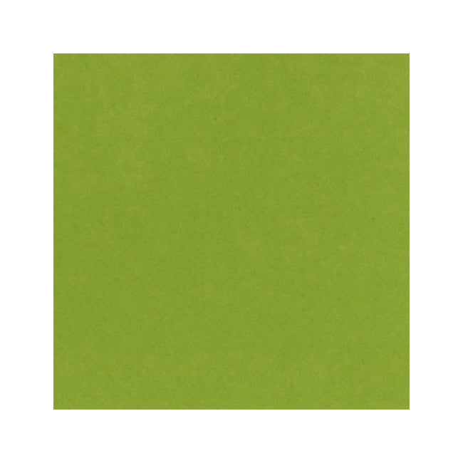 Bazzill 12x12 Card Shoppe Heavyweight Bazzill - Easter Grass